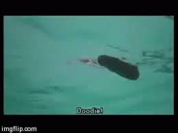 Baby Ruth Caddy Shack Gif Baby Ruth Caddy Shack Pool Discover Share Gifs