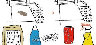 7 Diy Ways To Remove Oil Stains From Your Asphalt Driveway The Secret Yumiverse Wonderhowto