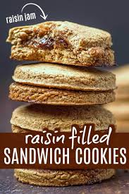 In a separate bowl, combine flour, baking powder, and salt, and add alternately to sugar mixture with milk and vanilla. Raisin Filled Cookies Recipe Vegan In The Freezer