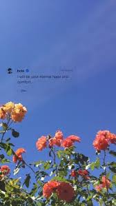 63 meaningful iphone mobile wallpapers are representing your mood. Far On Twitter Iphone Wallpaper Green Iphone Wallpaper Vintage Aesthetic Iphone Wallpaper