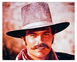 Well ladies, you have seen him in black and white. Here is a color photo of Patrick  Wayne from Big Jake.