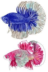 Pets At Home Magazine Hennie Haworth In 2020 House And Home Magazine Fish Tank For Sale Unique Fish Tanks
