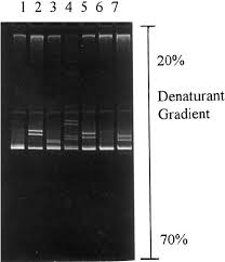 Image result for      V   @ Њ 