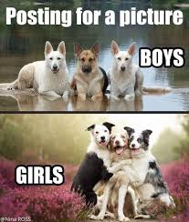 Investing The Time In Dog Appropriate Training Will Definitely Assist You And Your Pet Dog Shape A Better Re Funny Animal Jokes Funny Animal Memes Animal Jokes