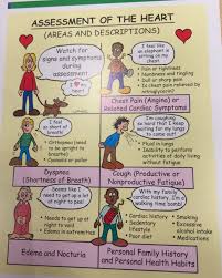 Assessment Of The Heart Nursing School Notes Medical School Life Emergency Nursing