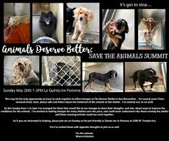 For emergencies, please contact your local police department or the sheriff's office. Animals Deserve Better Save The Animals Summit Hugs Kisses Animal Fund