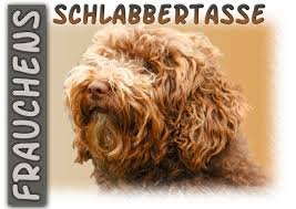 Der perro de agua ist ein fröhlicher, treuer und arbeitswilliger gefährte, der gerne apportiert und seine ausgeglichene art und seine leichte erziehbarkeit machen den spanischen wasserhund zu. 4pfotenshop Hundewarnschilder Und Kratzfeste Autoaufkleber Mit Hundemotiven Fototasse Kaffeetasse Mit Spanischer Wasserhund