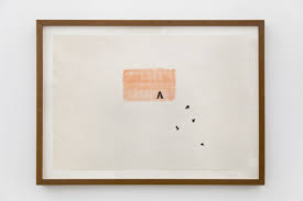 Bildergebnis für Sonia Andrade