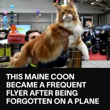 In awe at the size of this lad.