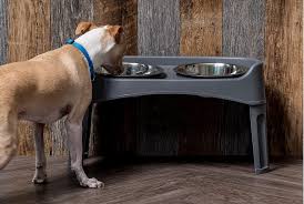 Wayfair.com has been visited by 1m+ users in the past month 8 Best Raised Dog Bowls For Mealtime Ease Great Pet Care