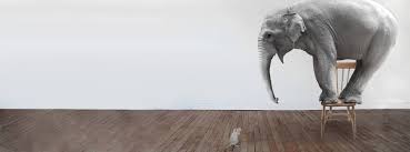 Image result for Fear
