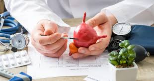 Image result for Urinary Incontinence