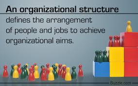 Functional Organizational Structure