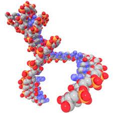 Genetic engineering is possible thanks to recombinant dna technology. Genetic Modification Explained Science Media Centre
