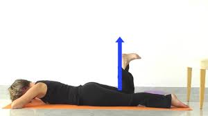 We did not find results for: Yss Yoga Techniques For Pelvic Mobility And Stability