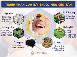 Top 5 Bài Thuốc Đông Y Trị Nhiệt Miệng Hiệu Quả Nhất 2024