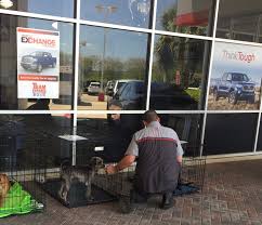 Wanted cocker spaniel or cockapoo. Craigslist Atlanta Ga