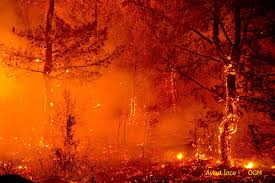 Orman yangını, doğal ya da insani sebeplerden ortaya çıkan yangınların ormanları kısmen veya tamamen yakmasıdır.yıldırım düşmesi. Orman Yangini Ormanlar Yangin Dunya