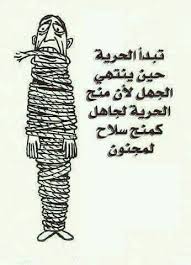 منح الحرية لجاهل كمنح سلاح لمجنون Wise Words Quotes Cool Words Wisdom Thoughts