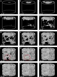 Use a story and activities to help them gain a better understanding of time. Crystallisation In Basaltic Magmas Revealed Via In Situ 4d Synchrotron X Ray Microtomography Scientific Reports