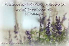 Quotes With Images Beauty Quotes