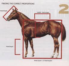 Pin On How To Draw A Horse