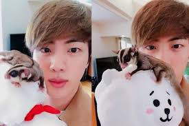 Animal Lover Begini 7 Potret Para Idol Kpop Dengan Peliharaannya