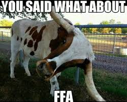 What Did You Say Animals Ffa Animal Quotes