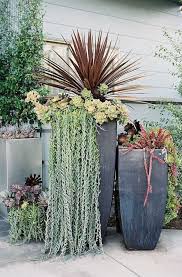 Check spelling or type a new query. Tall Flower Pots Ideas On Foter