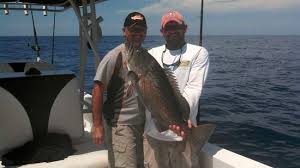 Desoto, treasure island beach, anna maria island, tampa, fl., and the surrounding areas. Big Gag Grouper Picture Of Maverick Fishing Charters Tours St Pete Beach Tripadvisor