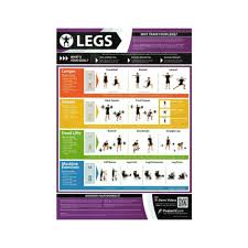 Posterfit Legs Chart