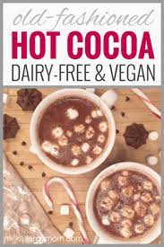 Simple Hot Chocolate Recipe With Cocoa Powder Dairy Free Vegan Hot Chocolate Recipe Cocoa Hot Chocolate Recipe With Water Cocoa Powder Recipes