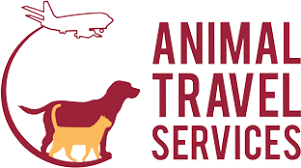 Worldcare pet transport is not in the business of selling pets. Professional Animal Transport Company South Africa Animal Travel Com