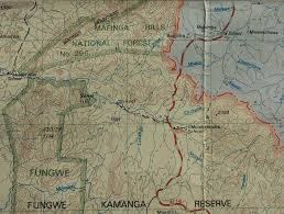 Image result for Pavetta redheadii