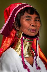 The Camplight Project: