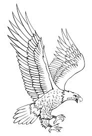 Side Eagle Shot Eagle Drawing Eagle Outline Outline Drawings