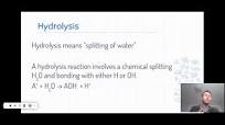 Hydrolysis Part 1