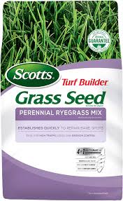 Perennial ryegrass is a grass that has many uses but probably does not get the credit it should. Amazon Com Scotts Turf Builder Grass Seed Perennial Ryegrass Mix 7 Lb Full Sun And Light Shade Quickly Repairs Bare Spots Ideal For High Traffic Areas And Erosion Control Seeds
