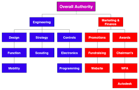 team organization simbotics