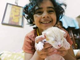 এমন যদি হতো আমি পাখির মত #reelschallengereelschallenge  #friendsfollowersViewers #StarsEverywhere #foryouシ #krishnagar_cityuシ