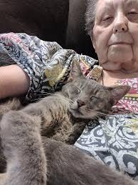 So after 5 years my rescue Felix sat because me. Merry Christmas to me!