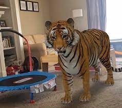 Google 3d Animals Into Your Home Animals Google 3d Zoo