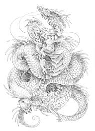 Find the perfect asian dragon stock illustrations from getty images. Biro Drawing On Heavy Weight Cartrage Paper Chinese Dragon Coils Mythology Dragons Illustration Dragon Head Drawing Dragon Illustration Dragon Tattoo