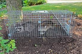 Animal Control Officer: What Is It? And How To Become One? | Ziprecruiter