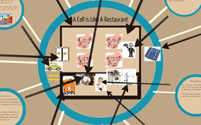 We did not find results for: Cell Analogy Restaurant By Sammy White