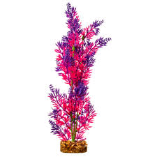Led lighting units for planted aquariums practically sell themselves. Glofish Purple And Pink Plant Fluorescent Under Blue Led Light Aquarium Decor Large Petco