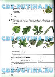 гдз по математике 2 класс школа россии 2 часть Reshebnik Po Matematike 3 Klass Moro 1 Chast 2017 Shkola Rossii Matematika Uchebnik Fizika