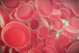 Ozone Therapy For Lyme Disease Dr Todd Maderis