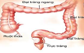 Thác bảy tầng nằm ở đâu? U Ä'áº¡i Trang Goc Lach Gay Táº¯c Ruá»™t