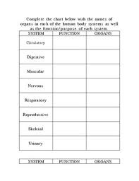 human body systems chart